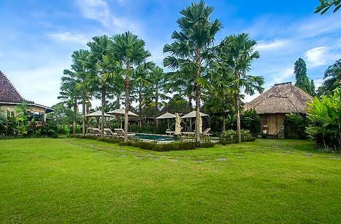 Aswanaya